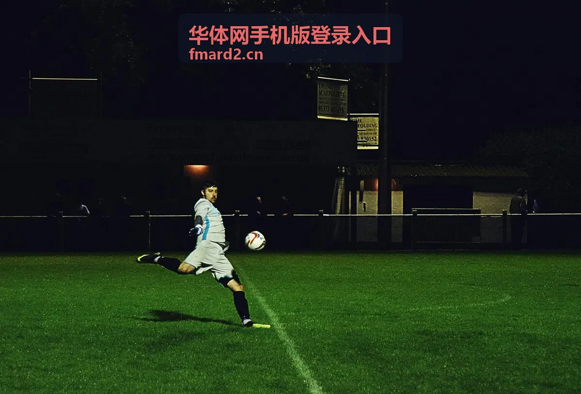 华体网手机版登录入口数据面板界面